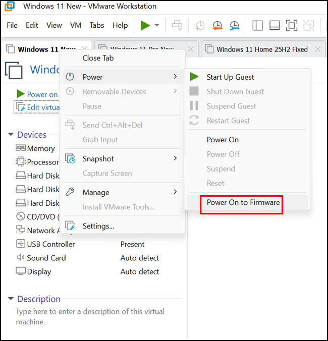 Power > Power On to Firmware VM option