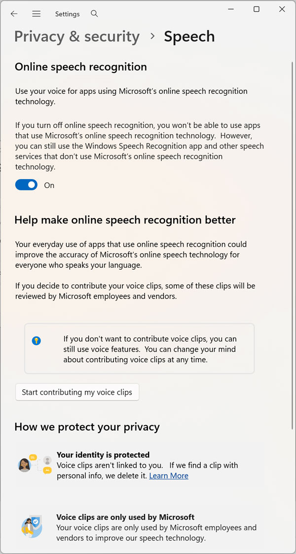 Windows privacy and security speech settings