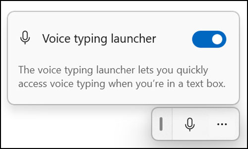 Voice typing launcher settings