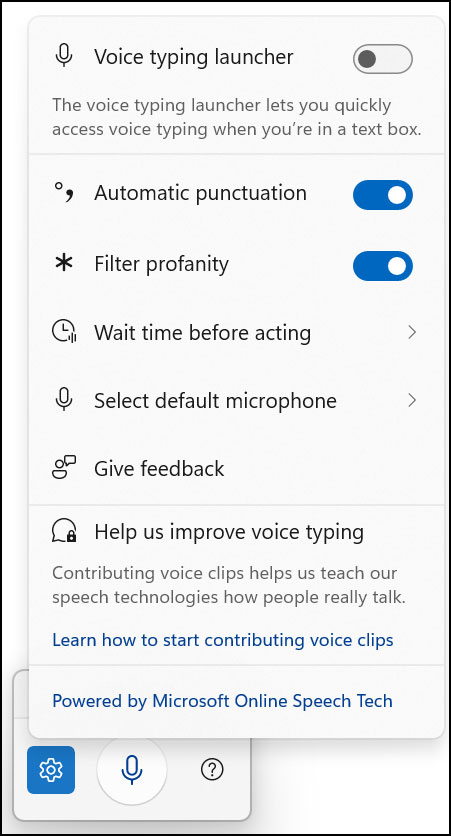 Change any voice typing options