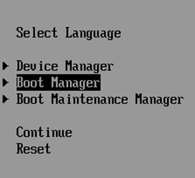 VirutalBox Boot Manager menu
