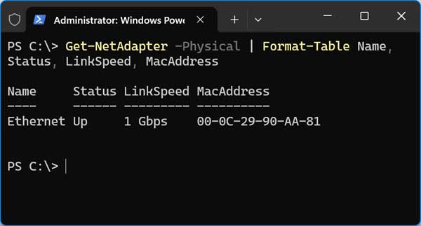 PowerShell Get-NetAdapter -Physical networking command