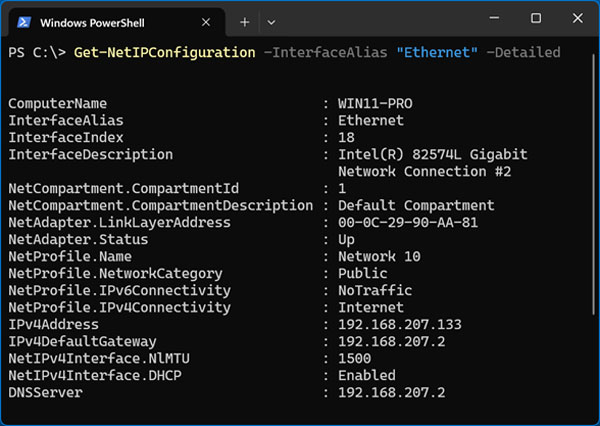 Get-NetIPConfiguration -InterfaceAlias "Ethernet" -Detailed PowerShell command