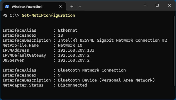 PowerShell Get-NetIPConfiguration command 