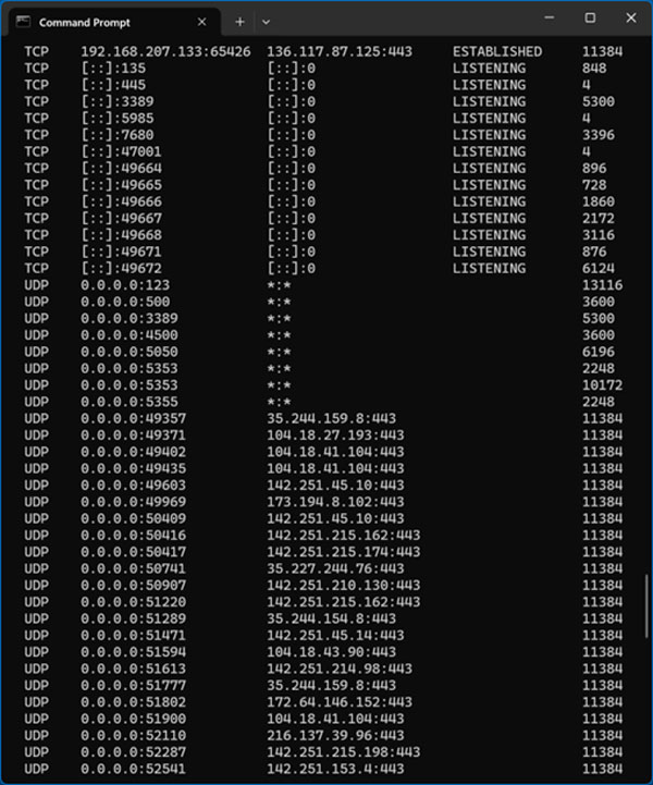 Using the netstat -ano network command