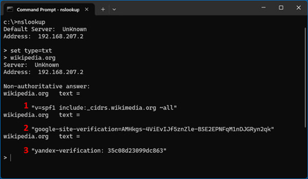 Using nslookup in Windows