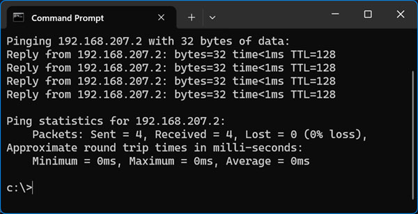 Ping network command output
